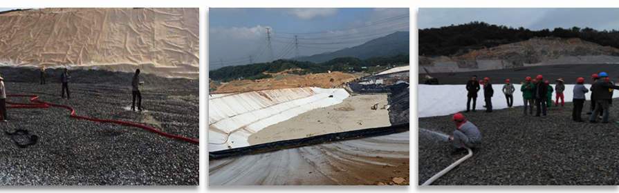 1560403551881615.jpg 3.jpg